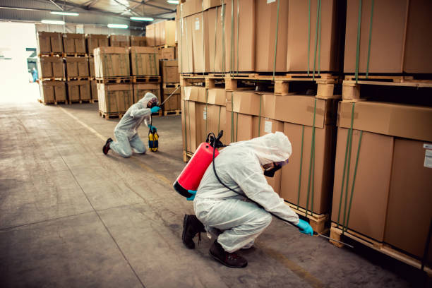 Best Pest Removal Services  in Westover, WV