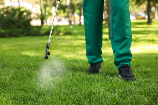 Best Exterminator Services  in Westover, WV