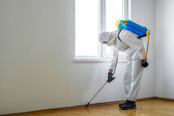 Best Pest Control Near Me in Westover, WV