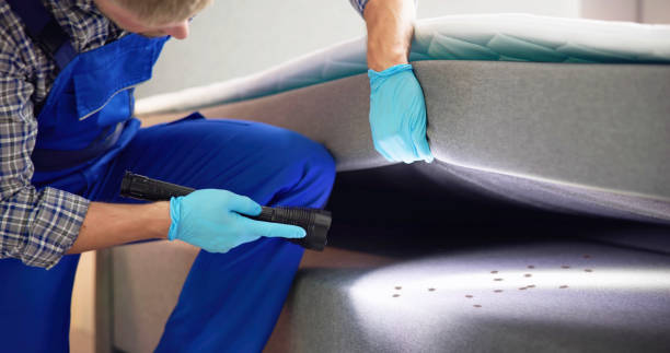 Best Affordable Pest Control Services  in Westover, WV
