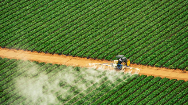 Best Pest Inspection Near Me  in Westover, WV