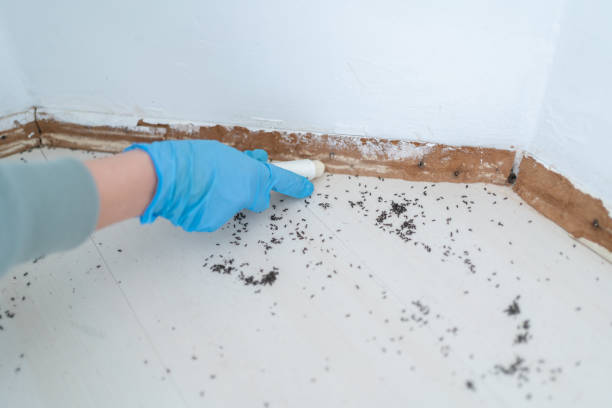 Best Commercial Pest Control Services  in Westover, WV